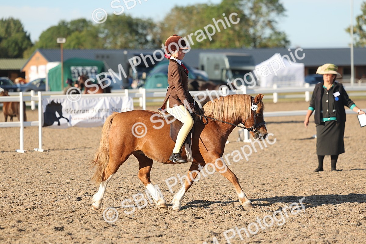 SBM_10906 - Class 301 - Ridden M&M Small Breeds
