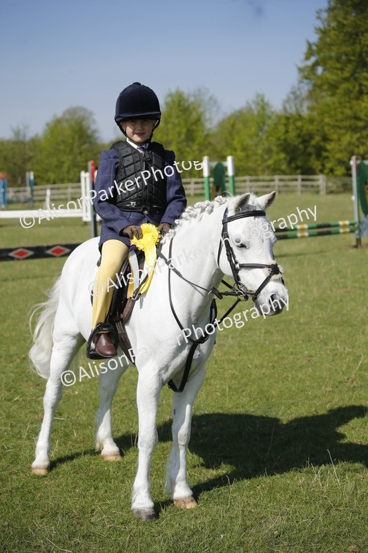20250427-0455 - Class 12 - Rookie Jumping 40cm