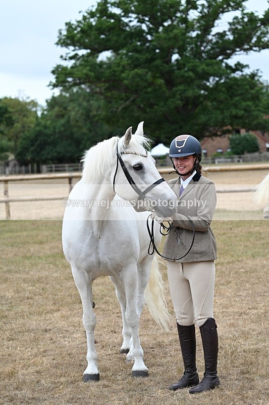 WJ7_9100 - Class 4a Prettiest Mare 14.2hh and over