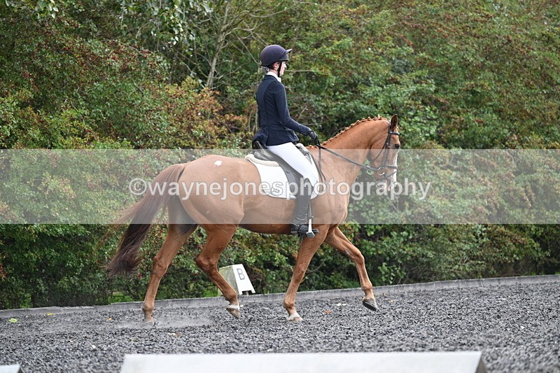 WJ7_6762 - Time 14:49 to 15:14