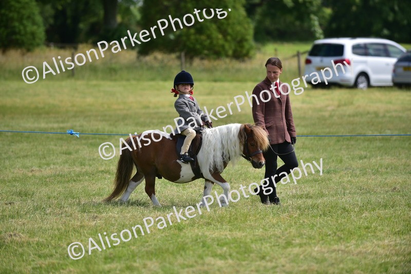20260614-1119 - Class 11a - Lead Rein Pony (Unplaited)