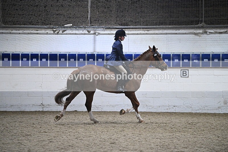 WJ7_4126 - Class 17 Ridden Cob