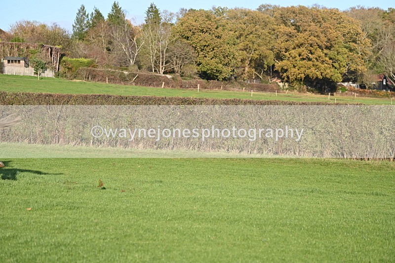 WJ6_3265 - Camera A