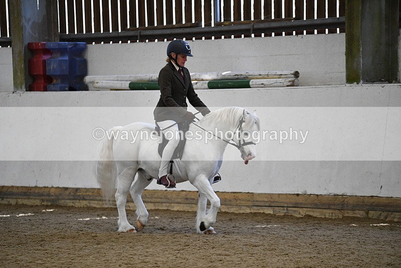 WJ5_5955 - Class 9 Ridden Veteran