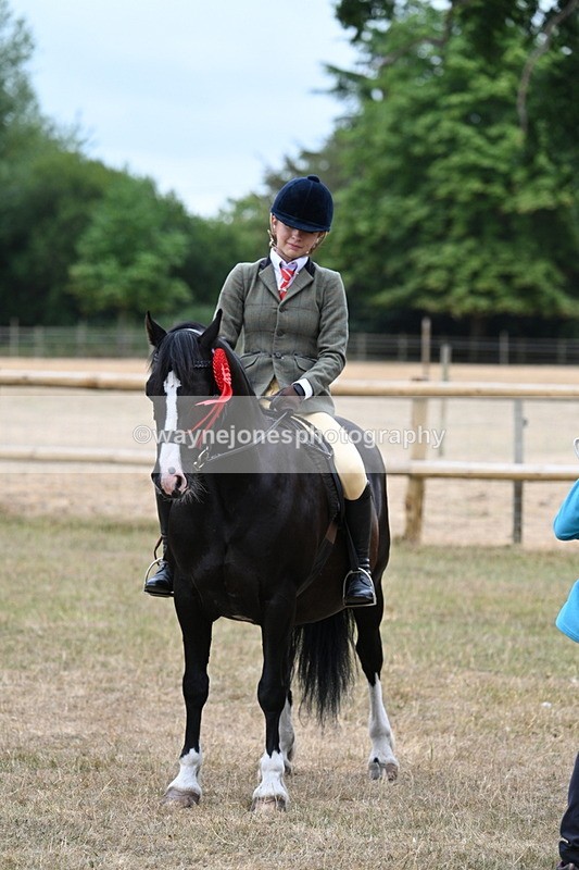 WJ7_0684 - Class 6 Ridden Mountain and Moorland