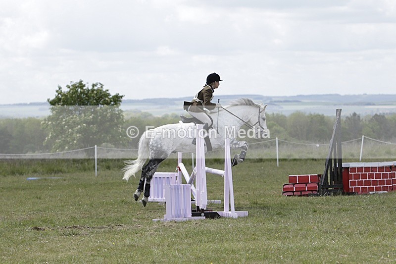 BVHT 140517 N-259 - Class 2 SJ Novice 14/05/17