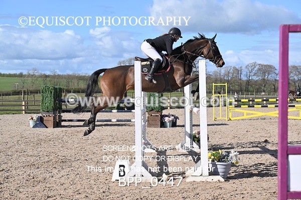 BPP_0447 - CLASS 22 SUN Senior Newcomers/ 1.10m Open