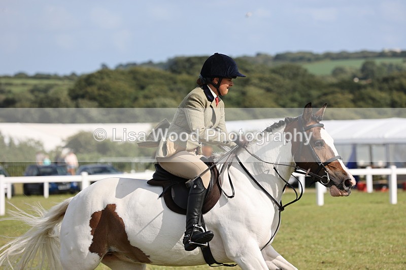 JPP_2811 - Class 20: Working Hunter 70cm