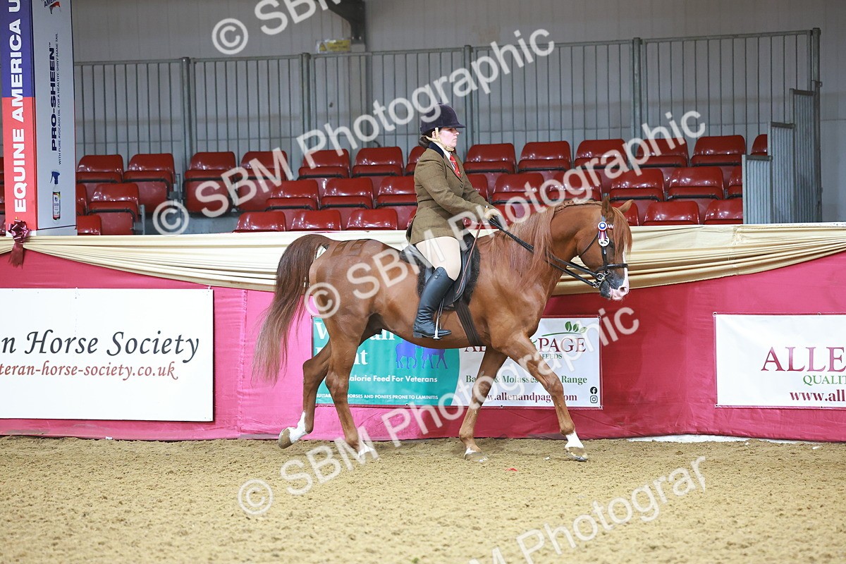 SBM_07555 - Class 101 - HOYS Veteran Qualifier - Ridden Diamond