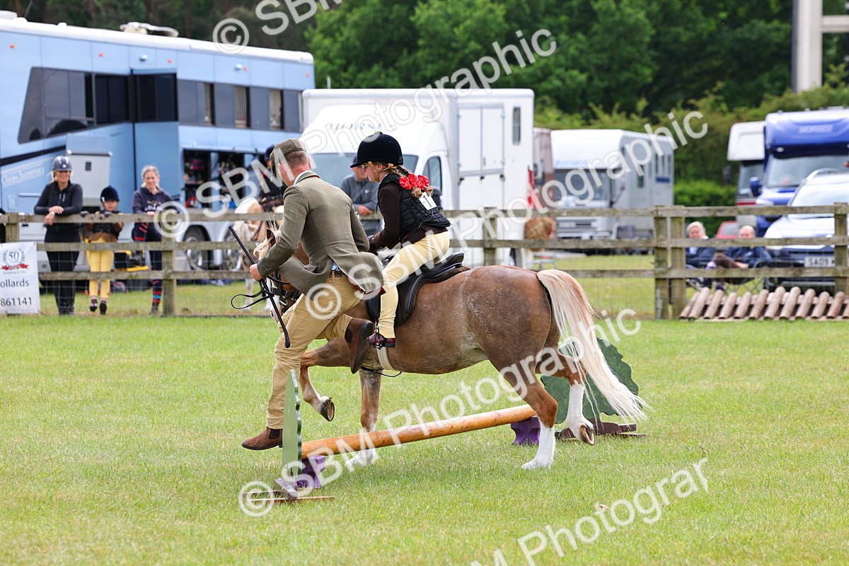 SBM_08179 - Class 42-43 - LIHS BSPS Heritage Working Sports Pony