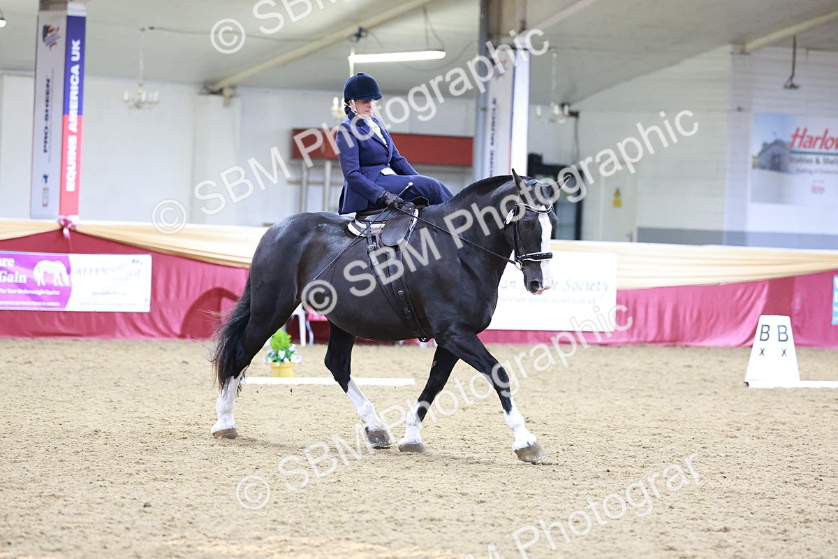 SBM_09924 - Class 61 - Dressage to Music