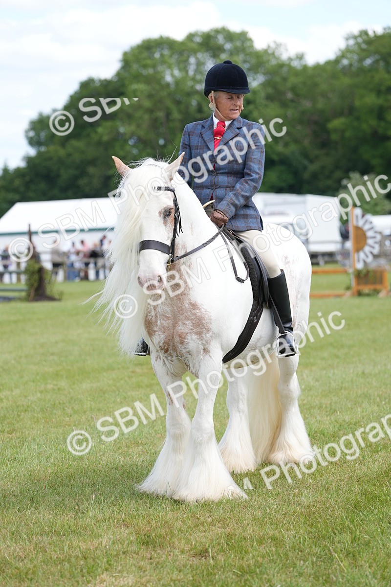 SBM_17174 - Class 107-108 - LIHS BSPS Performance Coloured Horse Pony