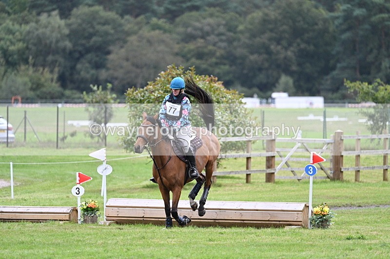 WJ7_9318 - 60cm Time 12:51 to 13:18