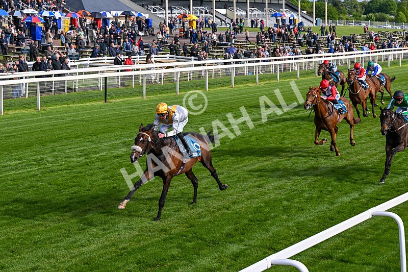 140526-Race 7-Arc Ole Ole-0419 - Race 7 5.15pm Frank Whittle Partnership Handicap