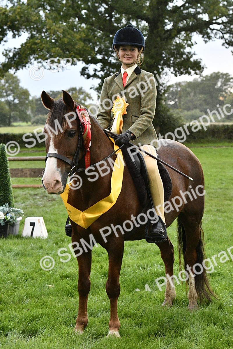SBM_53363 - S14 - Riding Club Horse