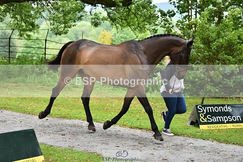 240522-155422-00575 - 102-TYNAN_COOLEY-Lucy_Stimson