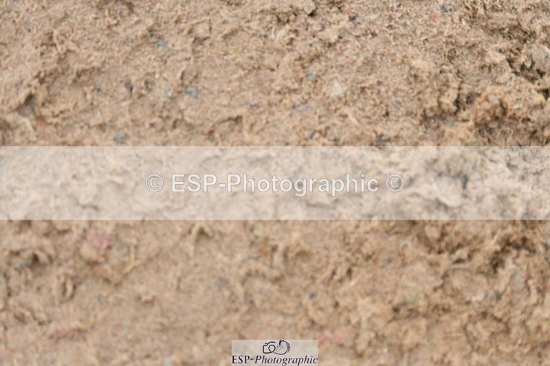 230511A-140440-00899 - BD Cls 6 Music Novice