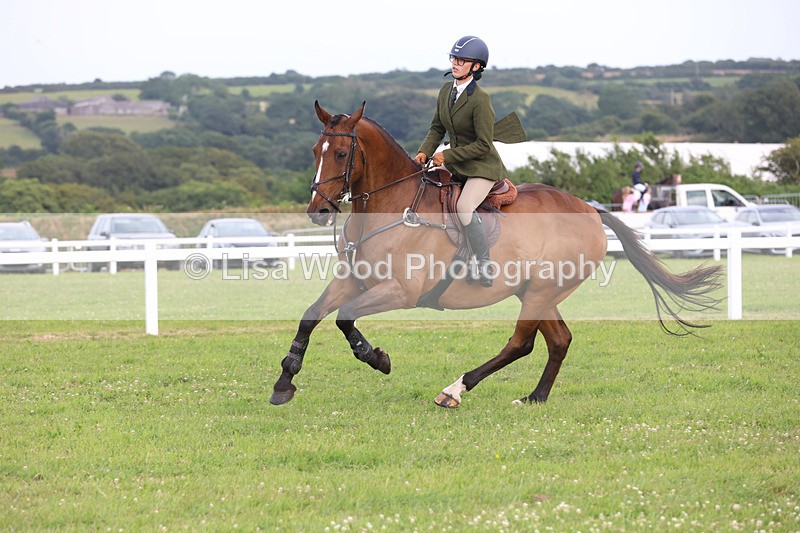 JPP_4346 - Class 26: Working Hunter 1m