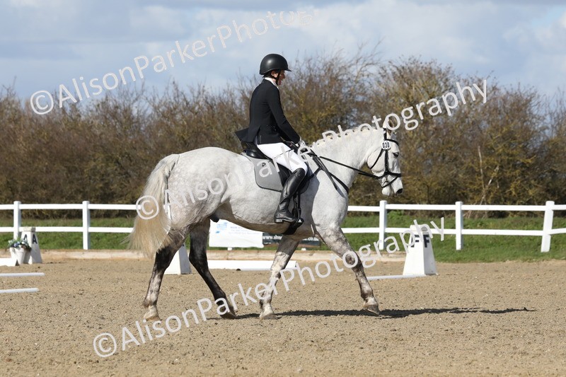 20260314-4789 - CT3 - Prelim 2