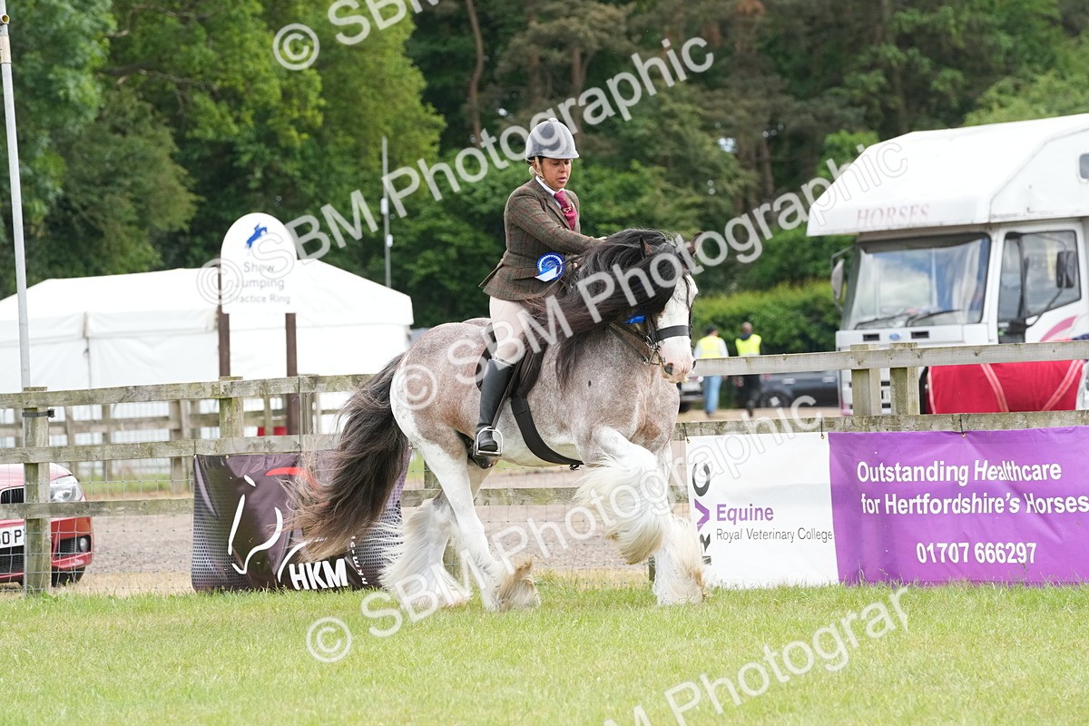 SBM_17697 - Class 107-108 - LIHS BSPS Performance Coloured Horse Pony