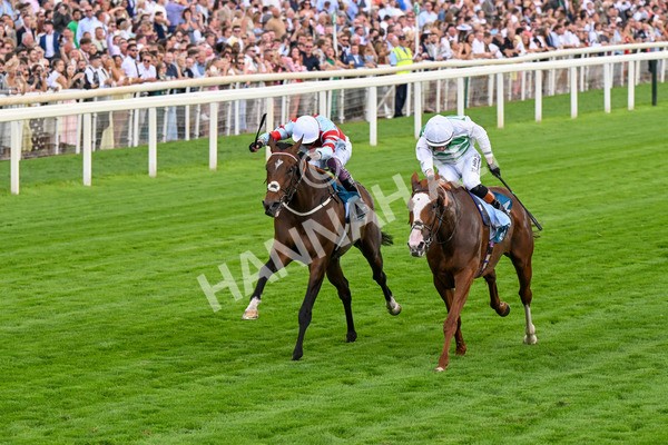 260725-Race 5-Beylerbeyi-0714 - Race 5 3.50pm Sky Bet, For The Fans Handicap