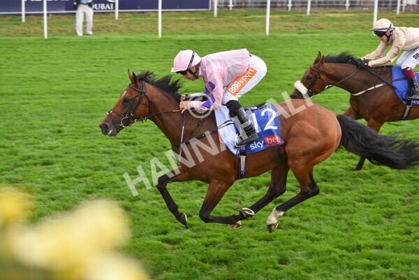 yr19082022r1-35 - Race 1 1.50pm Sky Bet Stakes