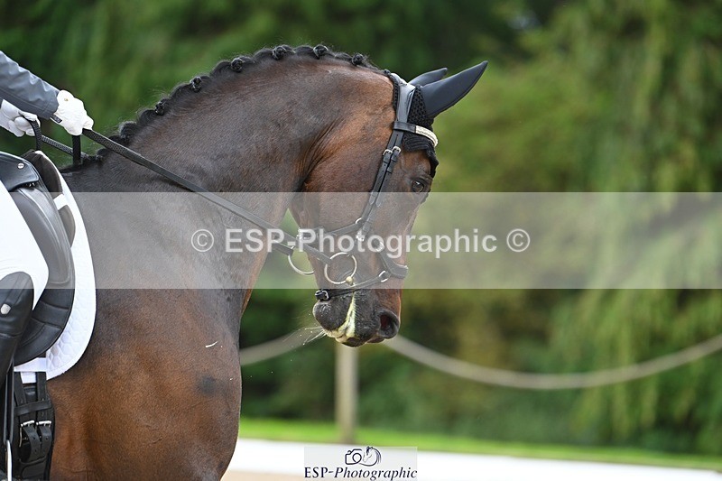 230813-124430-07146 - Cls 13 Medium Bronze Start to 13.00 break