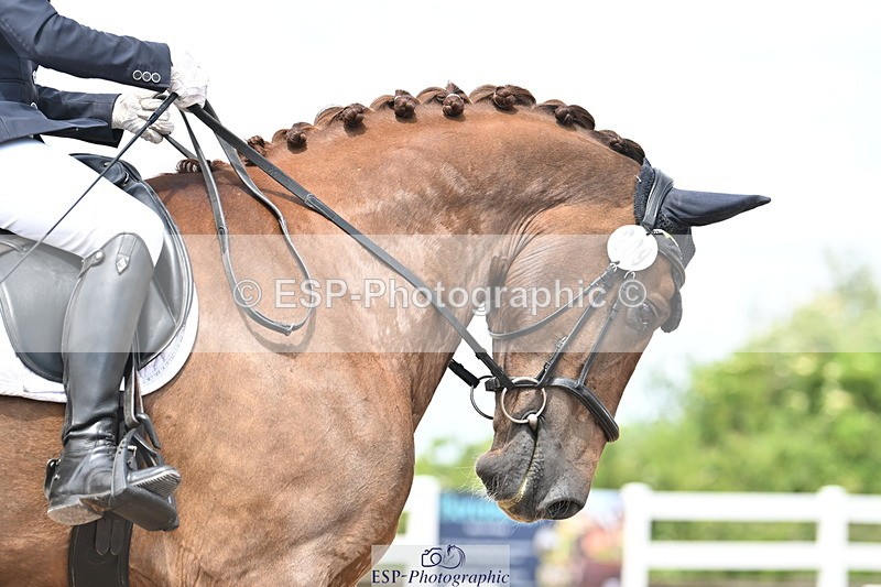 240621A-121826-02085 - Cls 7 BD Elementary 45