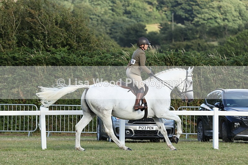 JPP_3583 - Class 22: Working Hunter 90cm