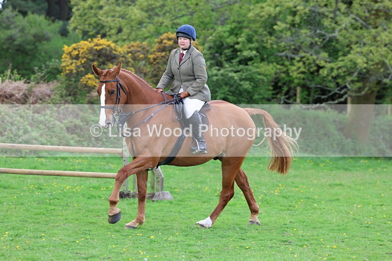 3E7A2588 - Classes 30 and 31: 80cm Working Hunter