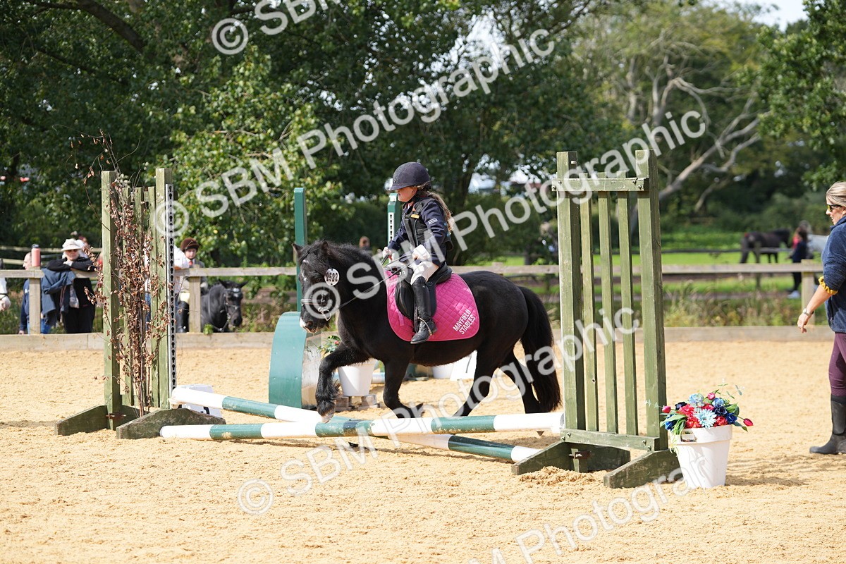 SBM_65769 - J2 - Mini Tour Junior Pony 30cm Championship