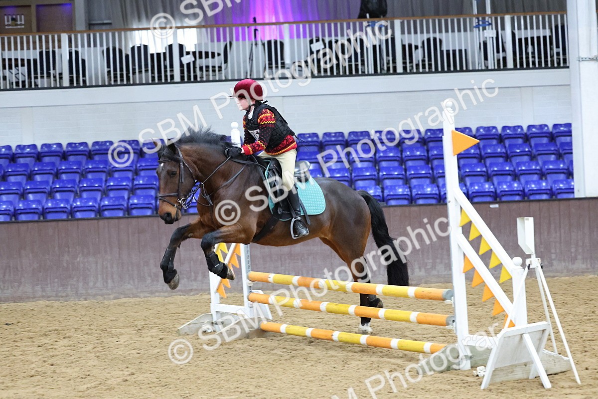 SBM_001037 - Class 3 - Christmas Tree Stakes - 60cm