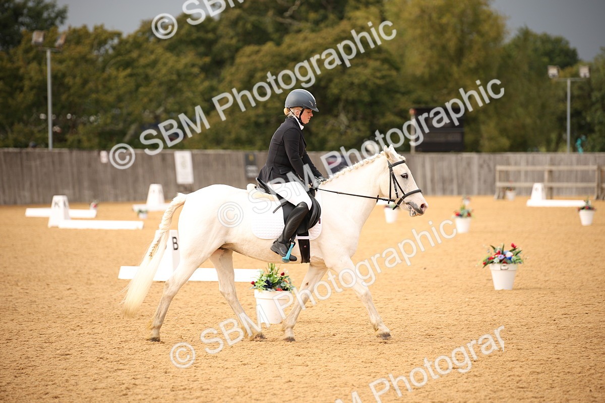 SBM_12314 - D3 Small  Tour Championship Intro A