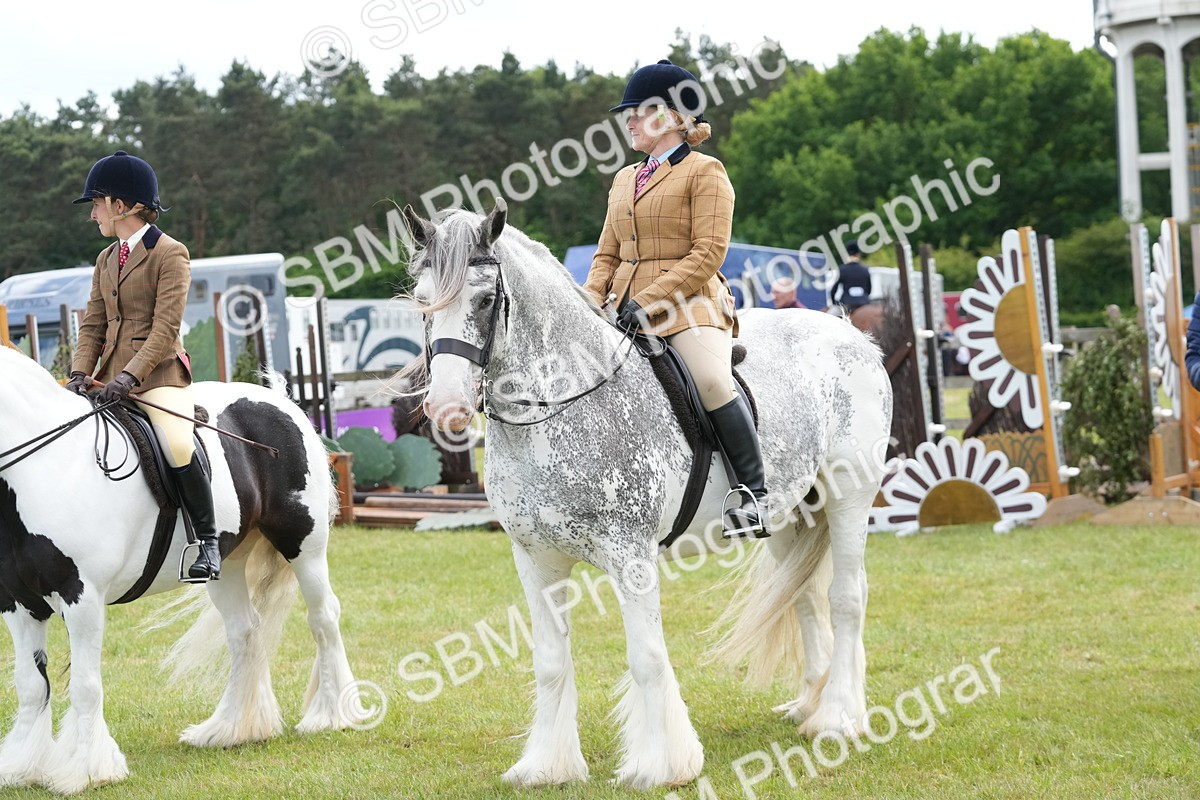SBM_17314 - Class 107-108 - LIHS BSPS Performance Coloured Horse Pony