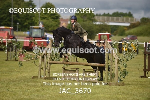 JAC_3670 - 75CM WORKING HUNTER