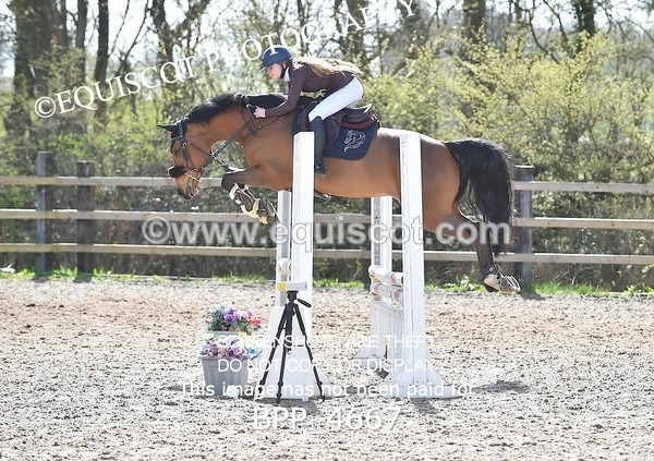 BPP_4667 - CLASS 12 BritiNovice/ 90cm Open