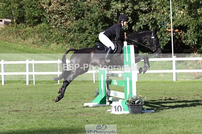 231022-143419-28216 - 505-MR.DARCY-Eleanor.Newcombe-TrotUp+SJ