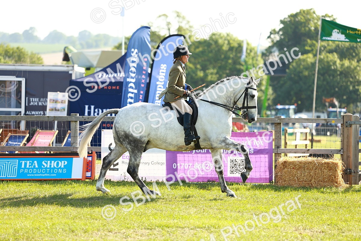 SBM_10849 - Class 66-69 - RIHS Ridden Hunters Inc Small Hunter