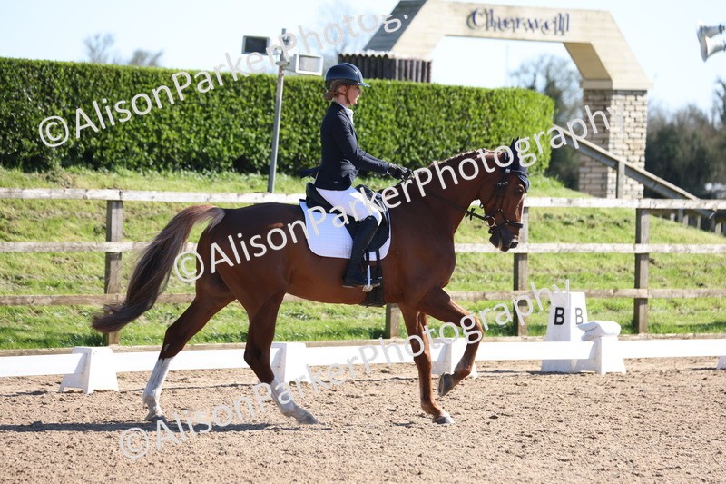 20260318-0526 - Class 5 - Novice 2