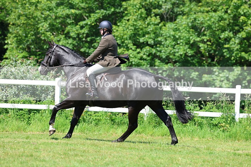 3E7A7023 - Class 30: Novice Working Hunter
