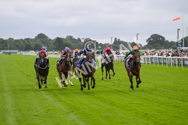 220824-Race 1-Celandine-6569 - Race 1 1.50pm Sky Bet Lowther Stakes