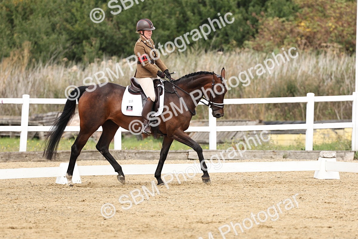 SBM_018305 - Class 16 - Novice 5 - 11.12-12.01