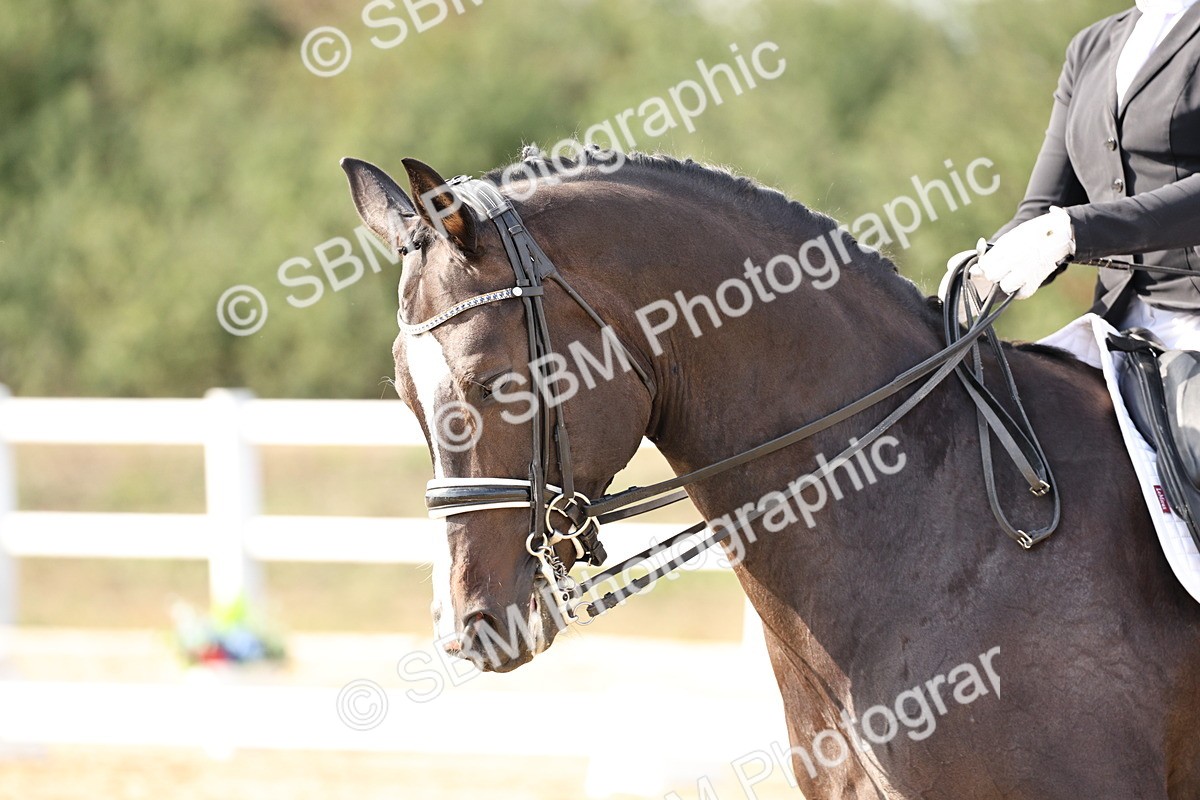 SBM_016231 - Class 10 - Advanced Medium 5