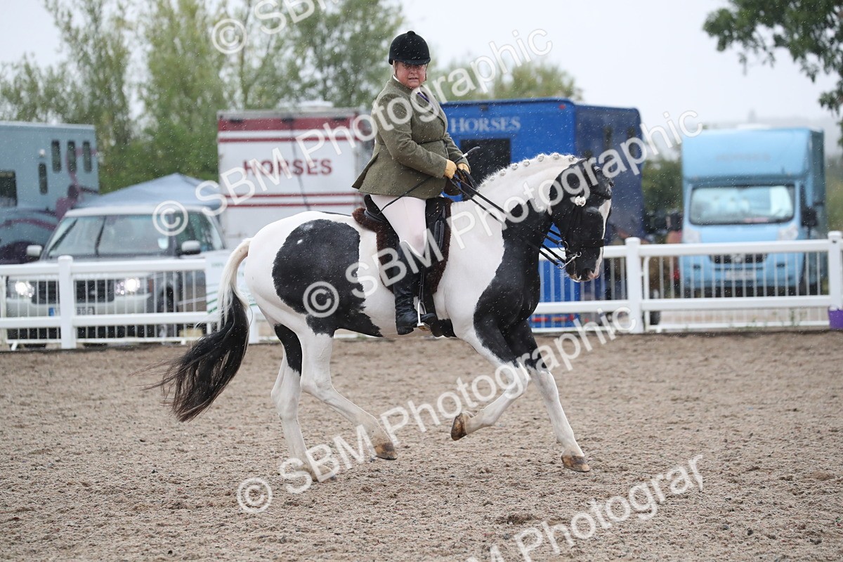 SBM_20440 - Class 601 - 2025 Area - Ridden Diamond