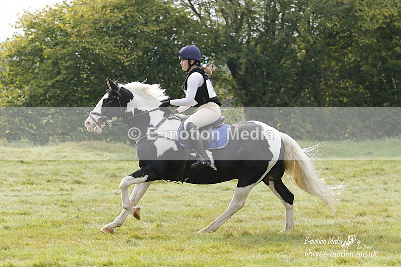  WWHT 171021 0748 - Open Novice (0.80m)  17/10/21