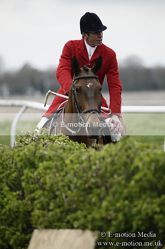 PtP 170417 476 - Old Berks Point-to-Point Lockinge 17/04/17