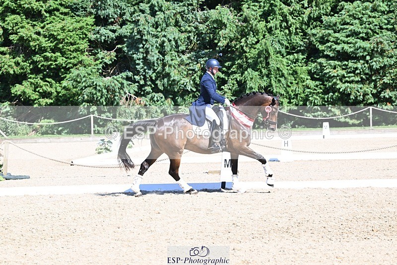 240811-154522-06833 - Inter I Silver