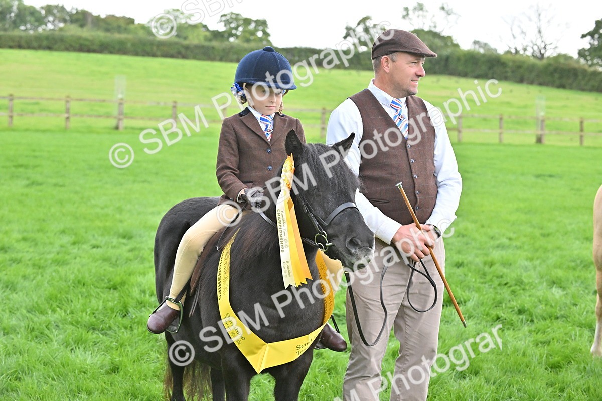 SBM_40148 - S20 - Lead Rein Mountain & Moorland Pony