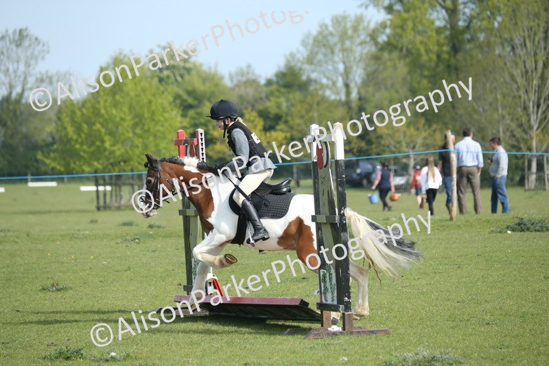 20260426-0186 - Class 13 - Rookie Jumping 50cm