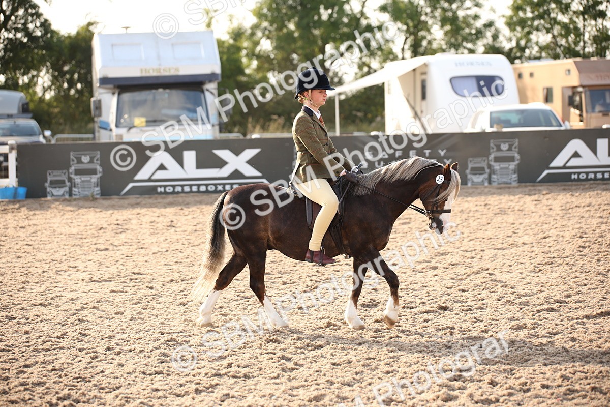 SBM_09186 - Regional Ridden Champ